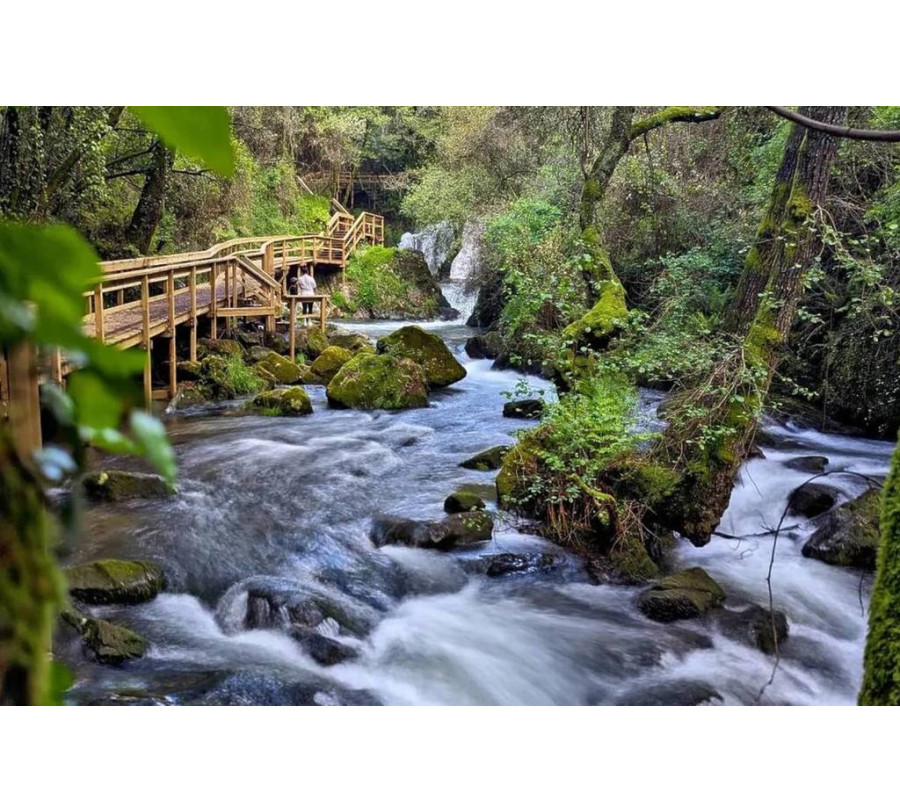 31/5 Passadiços de Pindelo