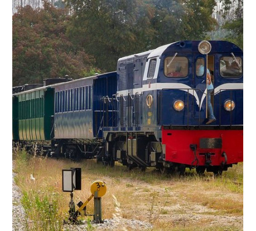 21/12 Comboio Histórico Vouga - Especial Natal (c/ Águeda Natal e Museu Ferroviário)