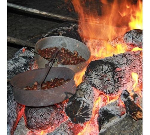 15/11 Magusto Celta Pitões Júnias (1 Dia)