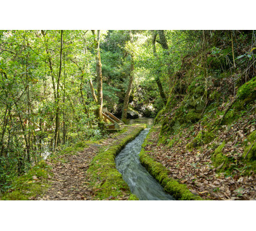 22/11 Trilho Levada de Piscaredo (Mondim de Basto)