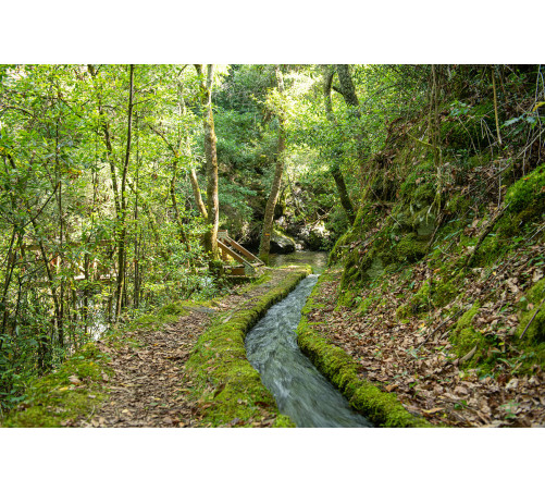 22/11 Trilho Levada de Piscaredo (Mondim de Basto)