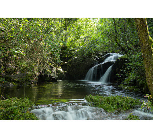 22/11 Trilho Levada de Piscaredo (Mondim de Basto)
