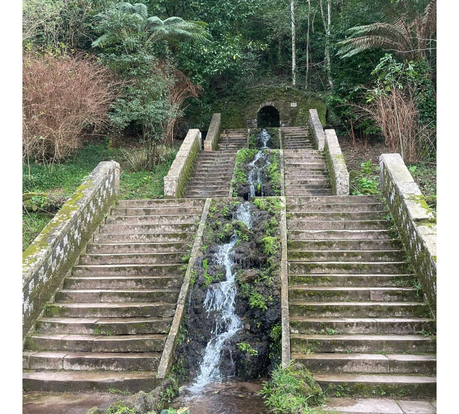 11/4 Mata do Buçaco - Trilho da Água 11/4 Mata do Buçaco - Trilho da Água