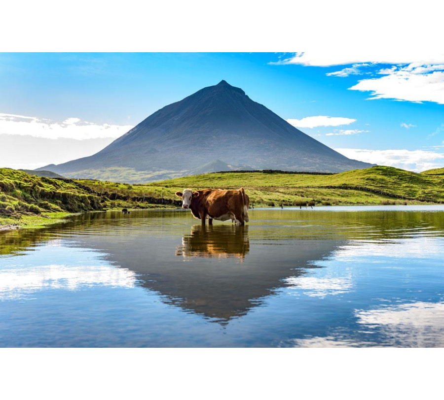 3/10 Triângulo dos Açores: Pico / Faial / São Jorge 3/10 Triângulo dos Açores: Pico / Faial / São Jorge