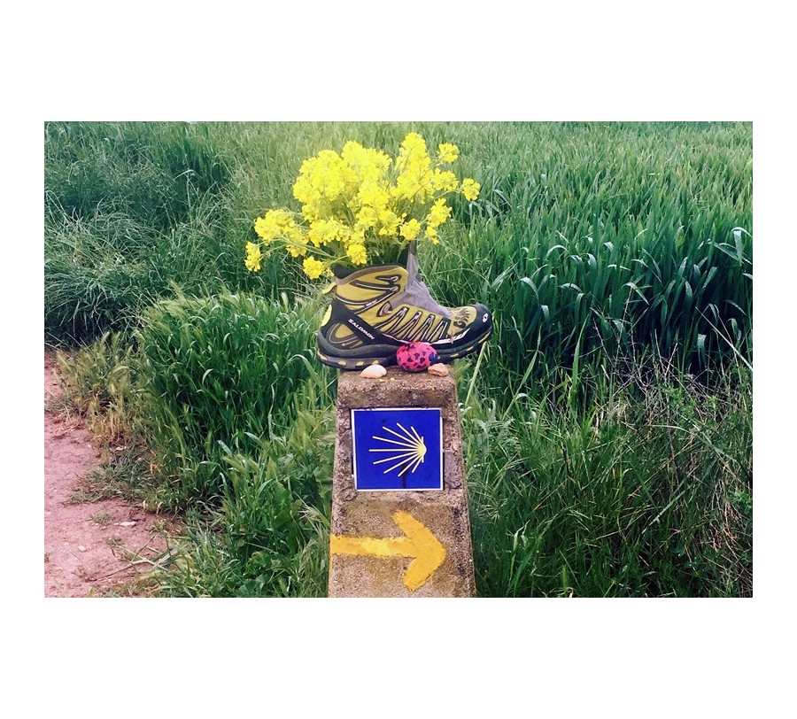 30/5 Caminho Português da Costa Etapa 9: Redondela - Pontevedra