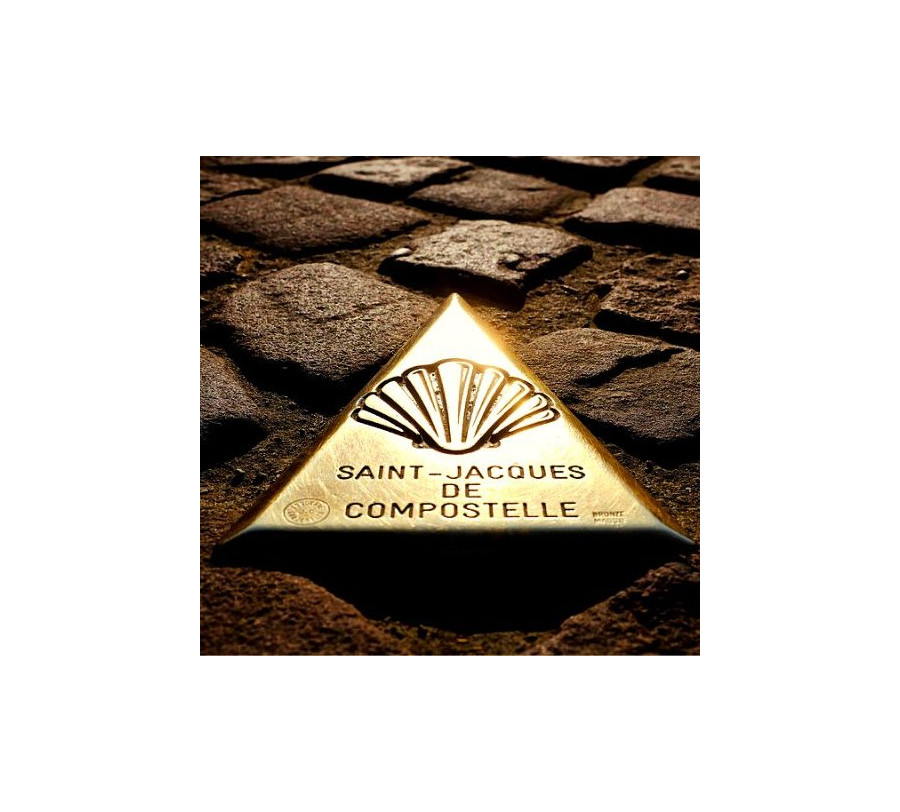 4/6 Caminho Francês de Santiago - Fase 9