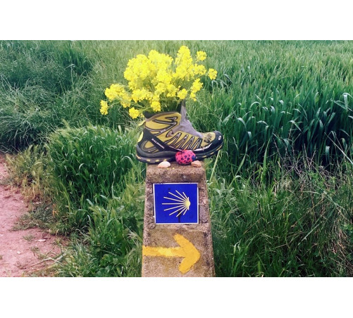 20/6 Caminho Português da Costa Etapa 10: Pontevedra - Caldas de Reis